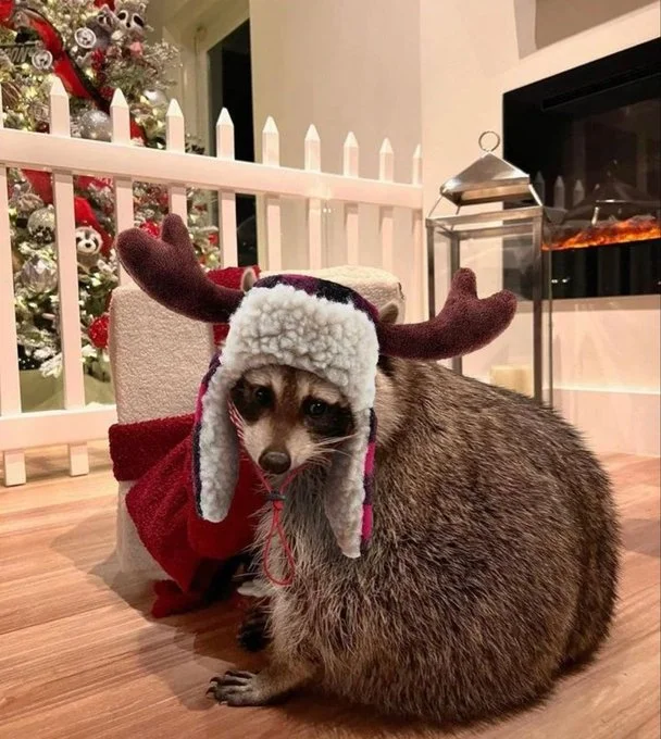 Western Rifle Shooters Association