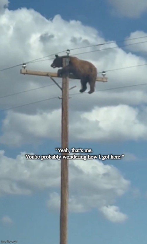 unnamed-2-7.png