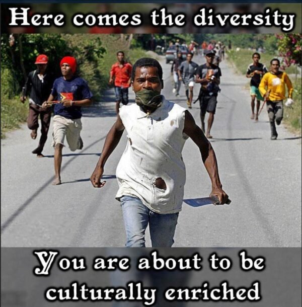 Here-comes-diversity.-e1605163238173.jpg